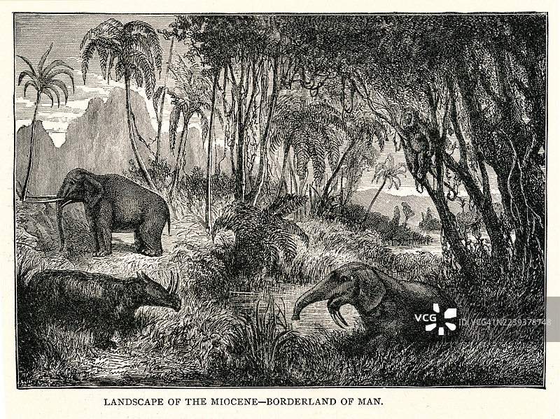 一张古老的米奥塞时期风景蚀刻插画，棕榈树和河岸森林中生活着大型哺乳动物。史前动物穿行于热带低地。图片素材