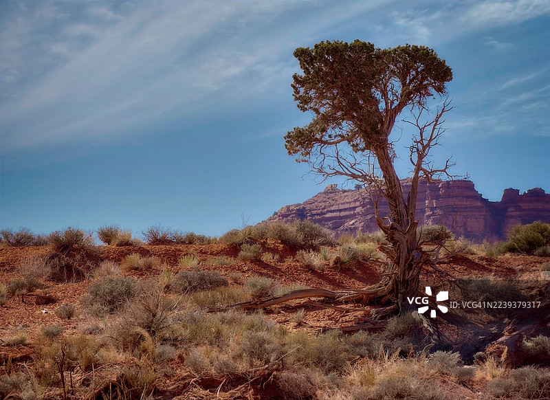 沙漠戏剧图片素材