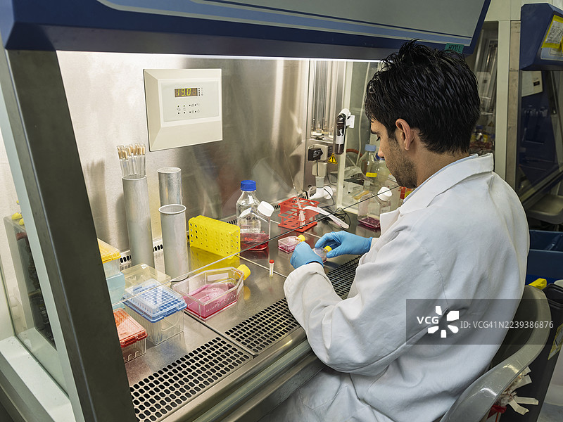 科学家在超净工作台中进行人类细胞培养实验。图片素材