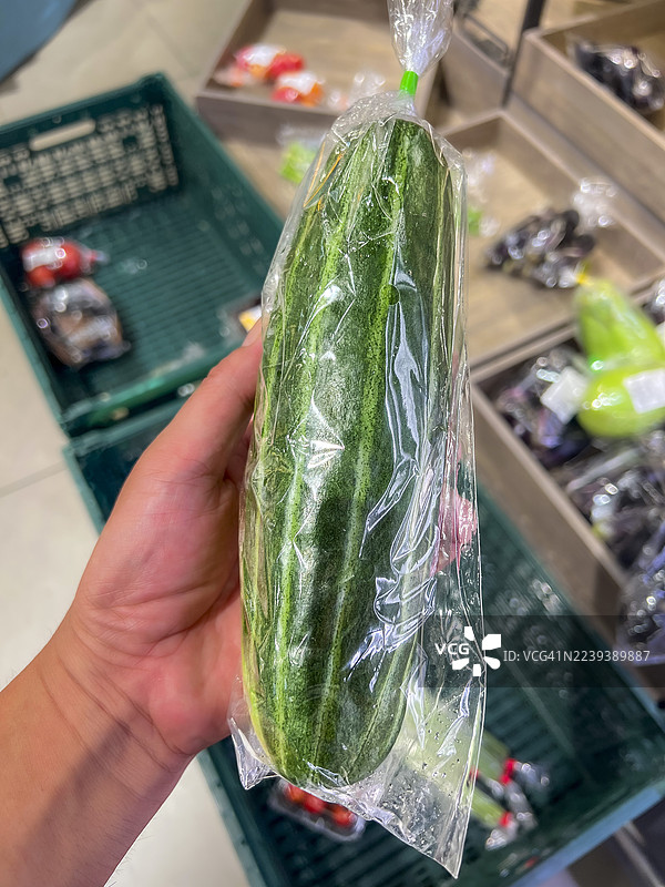 手持单个塑料包装的日本羽贺瓜/葫芦（甜瓜）图片素材