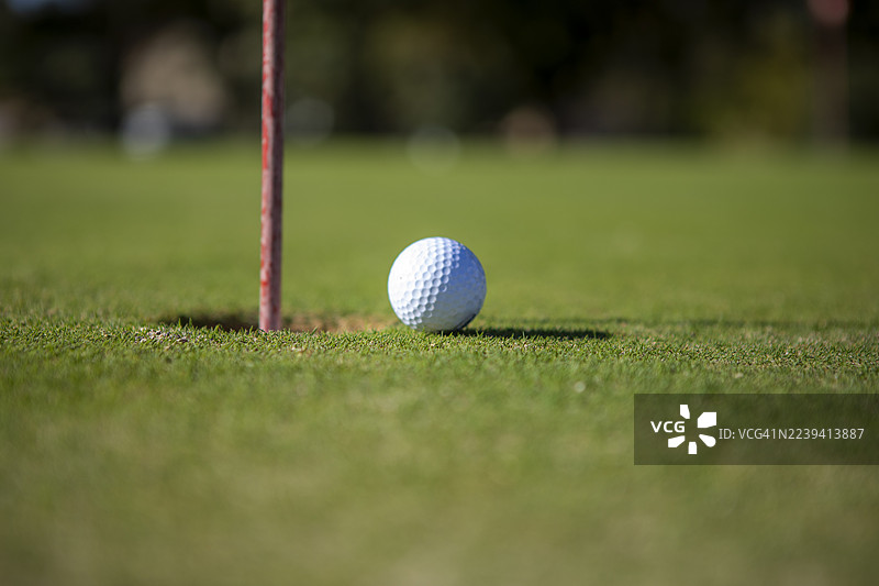 阳光明媚的球场上的高尔夫球杆特写图片素材