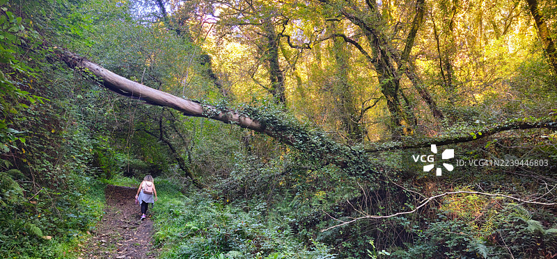 PR-G 172 徒步路线，“Ruta dos Muíños da Chanca”图片素材