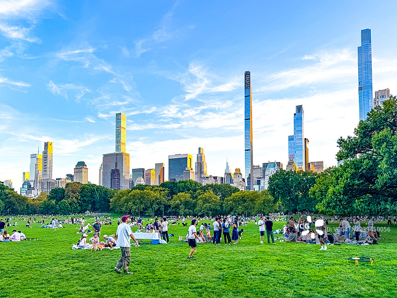人们在纽约中央公园的羊草坪上放松图片素材