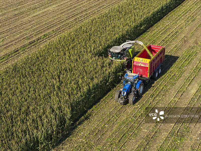 俯瞰视角下田野里的玉米收割场景图片素材