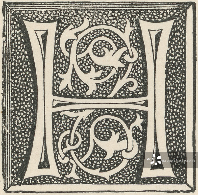 装饰性字母 H 带有植物装饰的旧雕刻插图。 19 世纪参考印刷品。图片素材