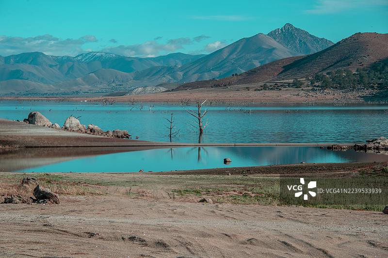 洪水过后，树木被淹没图片素材