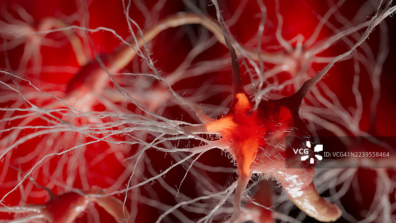 一个发光的神经元细胞通过红色神经网络延伸其分支，代表大脑活动。图片素材