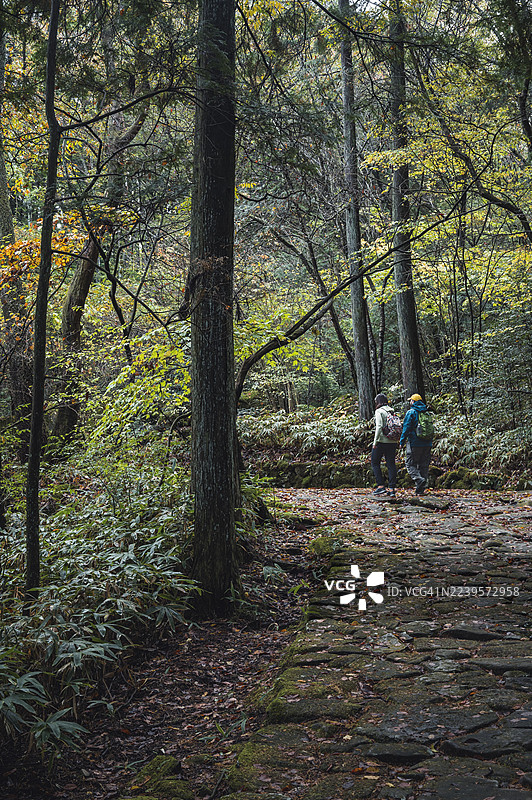 落合的旧中山道图片素材
