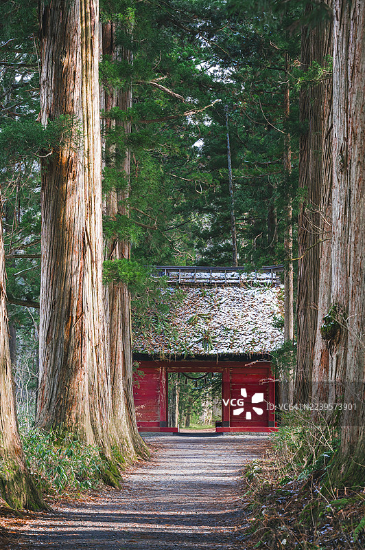 通过户隐神社道路的随神门图片素材