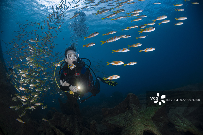 潜水员在费尔南多-迪诺罗尼亚群岛的‘Eleni Stathatos’号沉船处 - 巴西图片素材