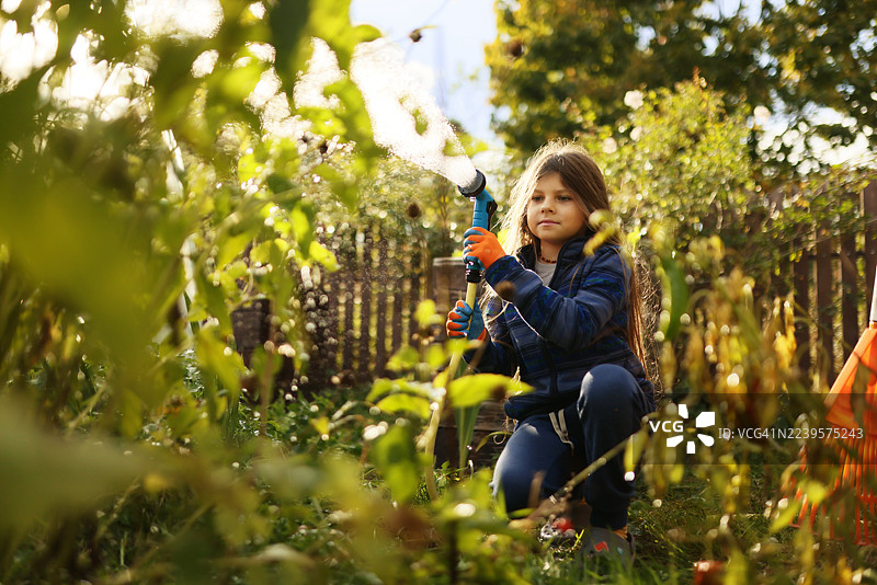 小女孩在花园里浇水图片素材