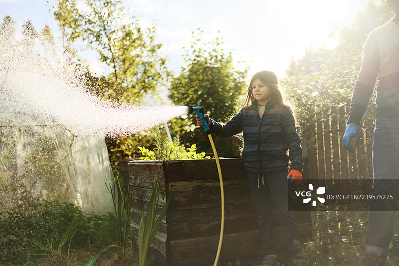 小女孩在花园里浇水图片素材