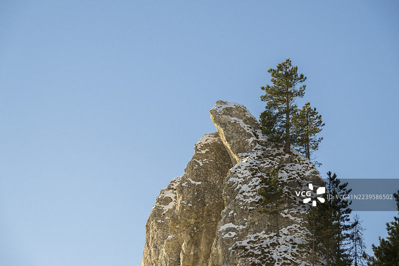 冬季，斯洛伐克霍尔纳波鲁巴瓦佩奇山上，巨大的岩石上生长着苏格兰松（欧洲赤松）。图片素材