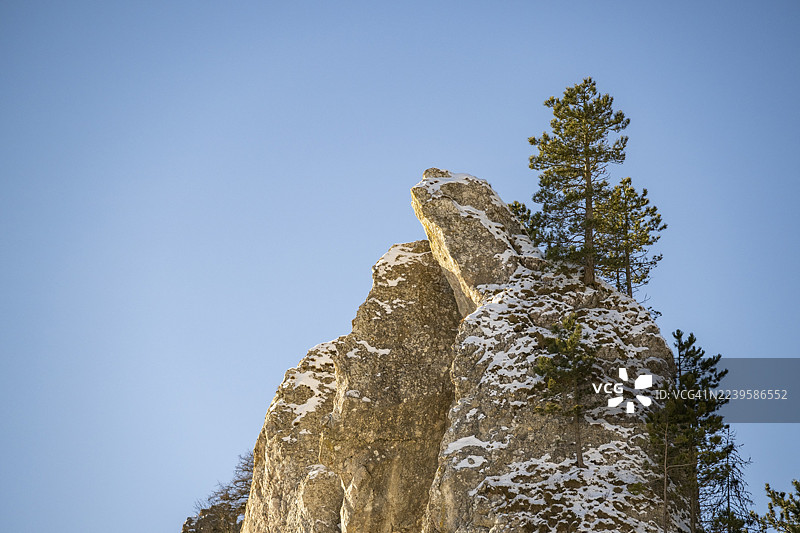 冬季，斯洛伐克霍尔纳波鲁巴瓦佩奇山上，巨大的岩石上生长着苏格兰松（欧洲赤松）。图片素材
