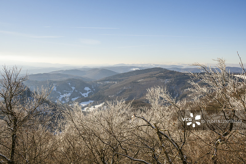 冬季,斯洛伐克霍尔纳波鲁巴瓦佩奇的欧洲山毛榉(Fagus sylvatica)树的树枝上覆盖着白霜图片素材