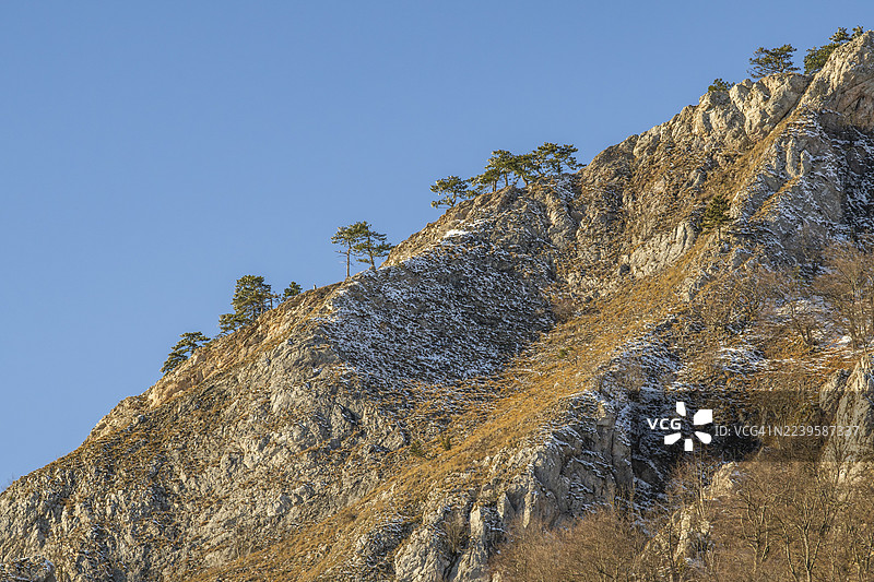 冬季，斯洛伐克霍尔纳波鲁巴瓦佩奇山上，巨大的岩石上生长着苏格兰松（欧洲赤松）树。图片素材