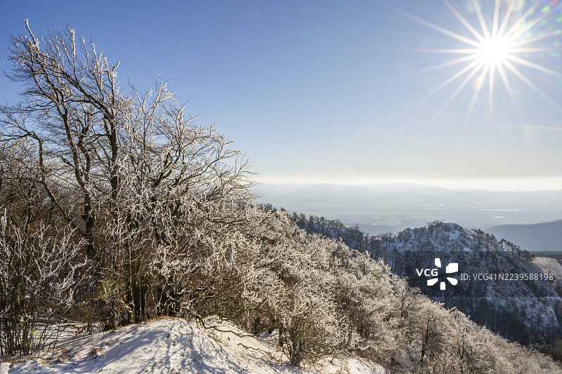 冬季,瓦佩奇山(Vápeč)山峦、山谷和树枝上的霜花景色,位于斯洛伐克霍尔纳波鲁巴(Horná Poruba)图片素材