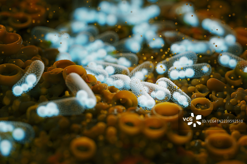 大肠杆菌在有机表面上的特写图片素材