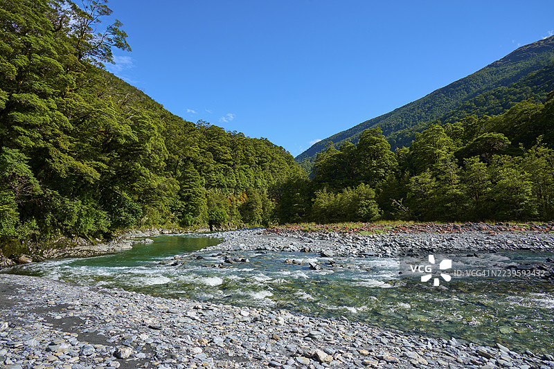 新西兰南岛亚斯派灵山国家公园、哈斯特、扇尾瀑布，一条清澈的河流穿过青山翠林的山峦，头顶是湛蓝的天空。图片素材