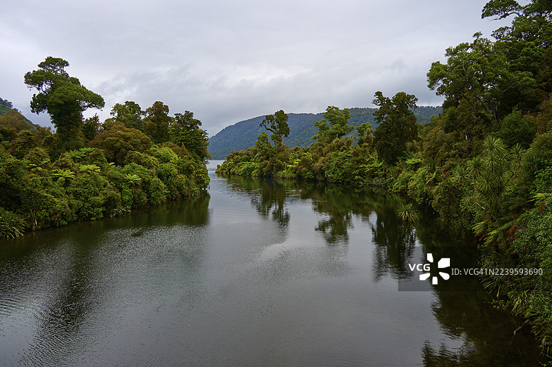 新西兰南岛西海岸哈斯特莫拉奇河，阴天下一片茂密森林中的平静河流图片素材