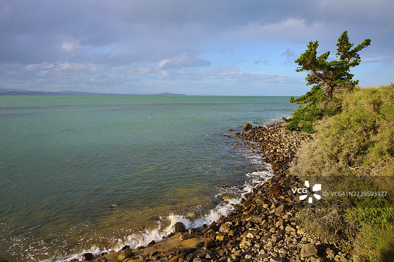 岩石勾勒出海岸线，大海与树林在此交汇，莫拉基，汉普顿，北奥塔哥，南岛，新西兰图片素材