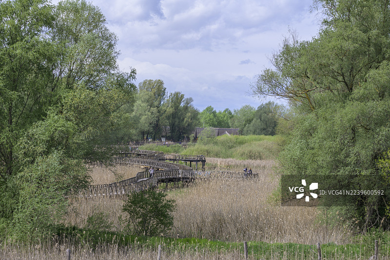 克罗地亚奥西耶克-巴兰亚县科帕切沃的科帕奇里特自然公园内的码头图片素材