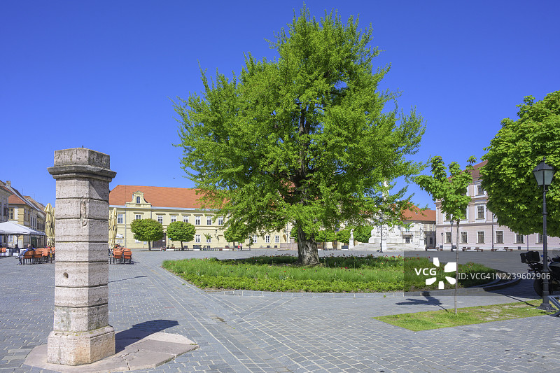 克罗地亚奥西耶克-巴兰亚县奥西耶克（Osijek）的要塞（Tvrđa）主广场上的枷刑柱图片素材