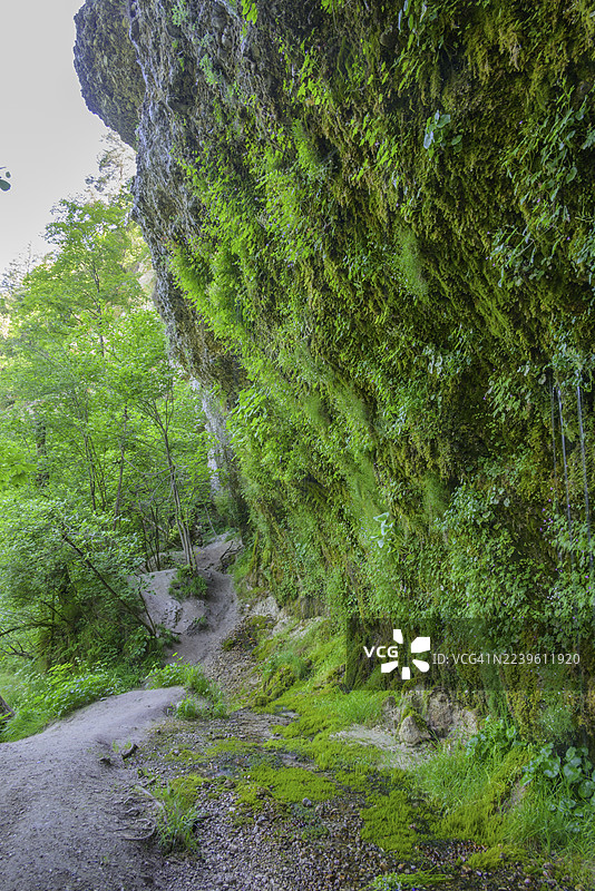 Steyr河畔的滴水墙，莫尔恩，上奥地利，奥地利图片素材