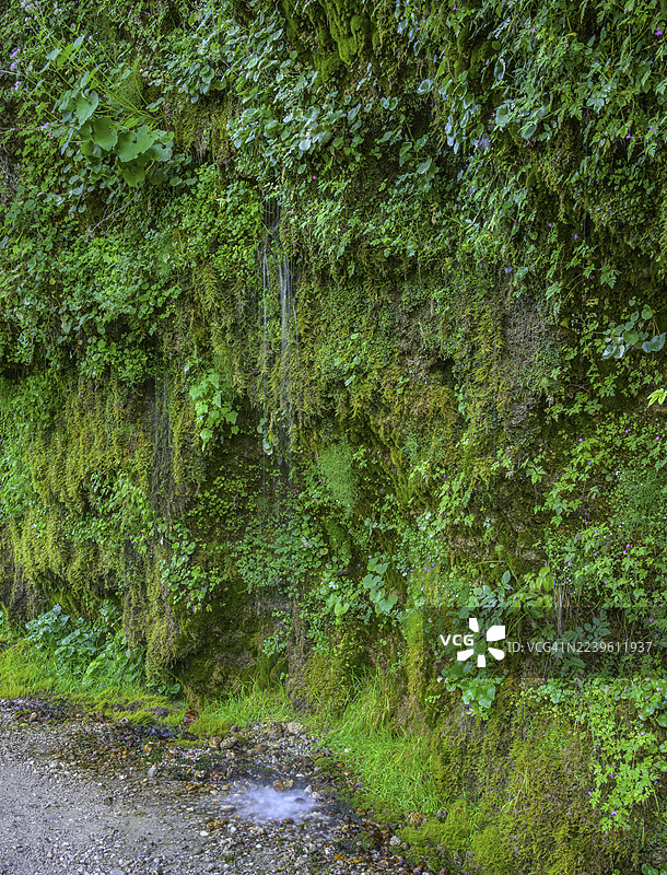 Steyr河畔的流水墙，莫尔恩，上奥地利，奥地利图片素材
