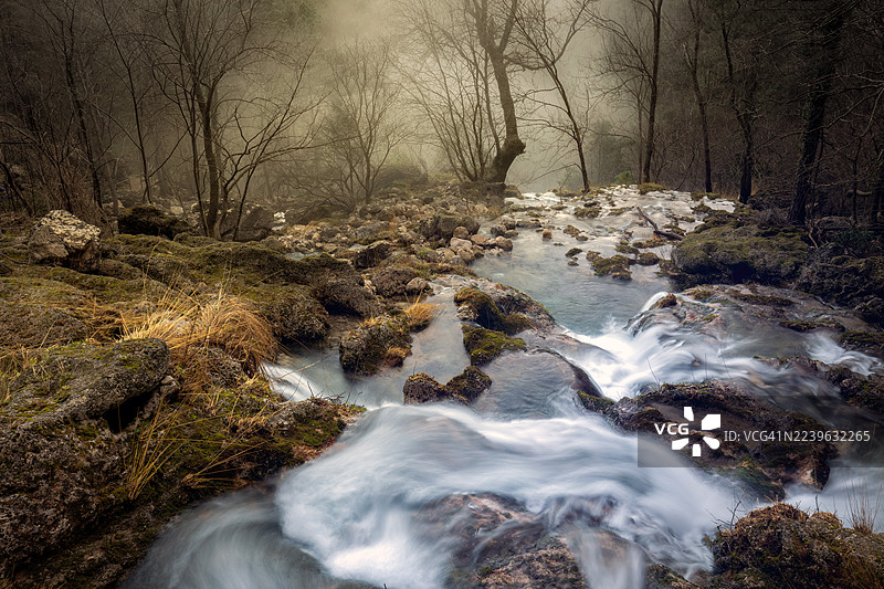冬季，西班牙阿尔瓦塞特，薄雾笼罩的森林溪流，长满苔藓的岩石和光秃秃的树木图片素材