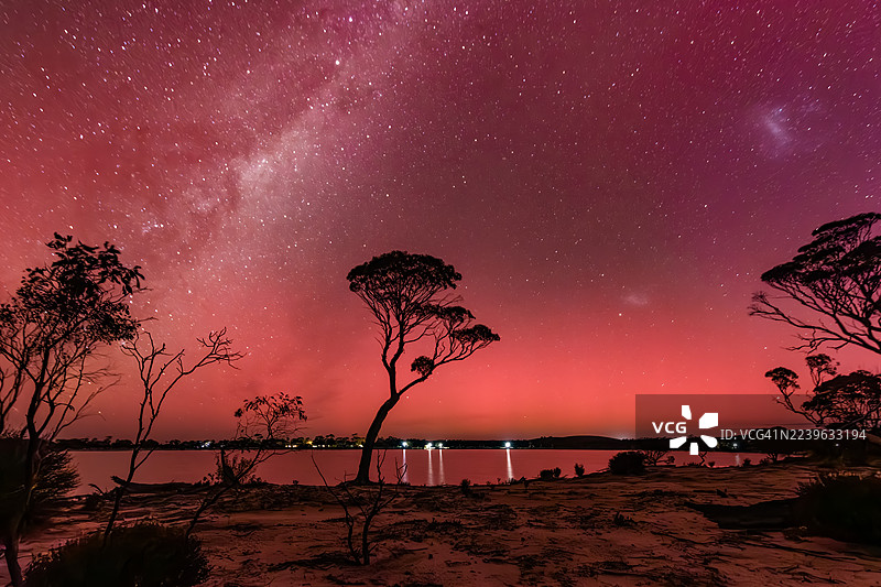 澳大利亚海登，剪影树木伫立在海边，背景是璀璨的星空、银河以及红粉相间的夜空。图片素材