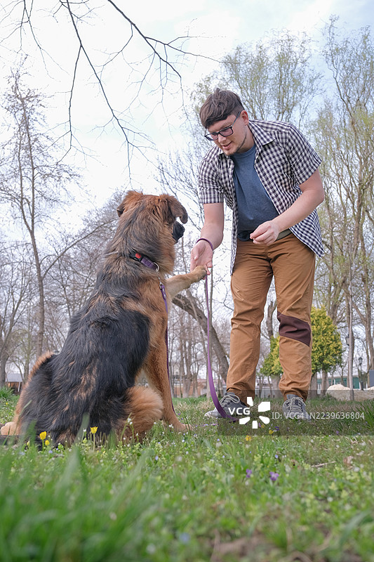 年轻男子在公园里训练他的狗，教它握手图片素材