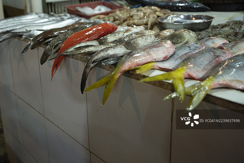 雅加达鱼市里各种海鲜和鱼类的特写展示图片素材