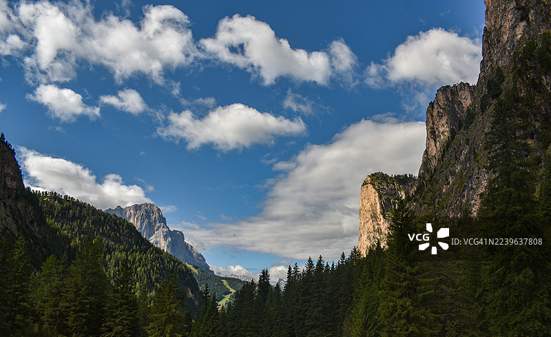 雄伟的低角度视角，展示着山脉和松树，背景是充满活力的蓝天白云，意大利瓦尔加尔代纳的森尔瓦。图片素材
