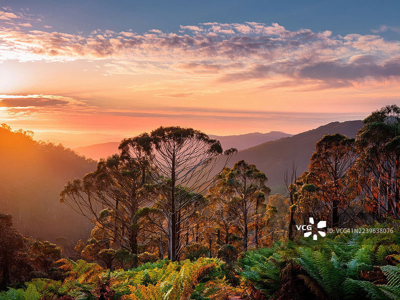 澳大利亚丹顿农日落时分的壮丽山景，天空色彩鲜艳，绿叶葱郁。图片素材