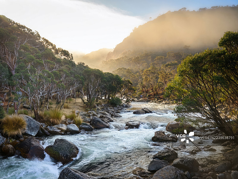 澳大利亚东吉普斯兰州雪河国家公园，薄雾与阳光下的山地风景河流图片素材