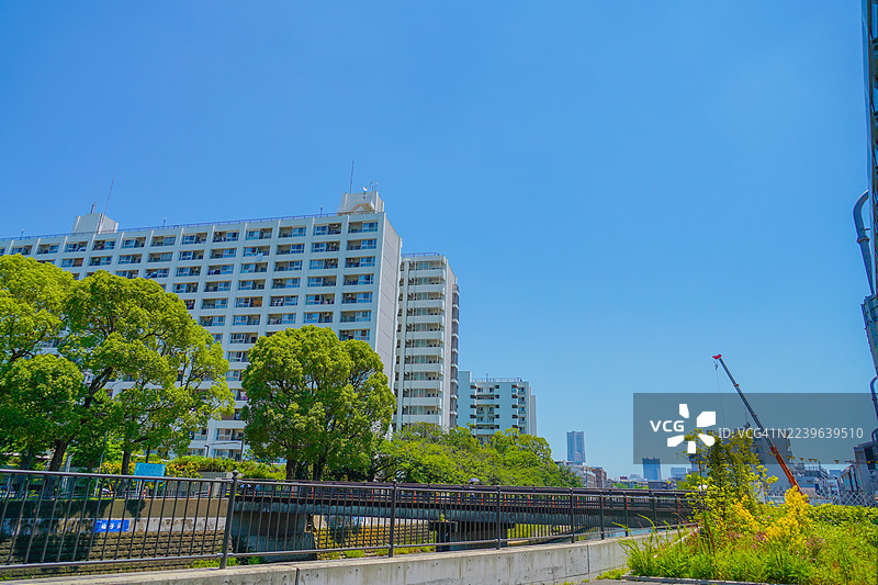 阳光明媚的城市里，现代化的公寓楼和茂密的绿树沿着运河排列，天空湛蓝，日本，保土谷，星川图片素材