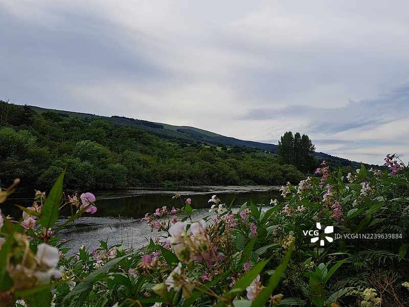 绿意盎然的山峦与宁静的河流，伴随着云层下的花卉，描绘出一派祥和的自然风光图片素材