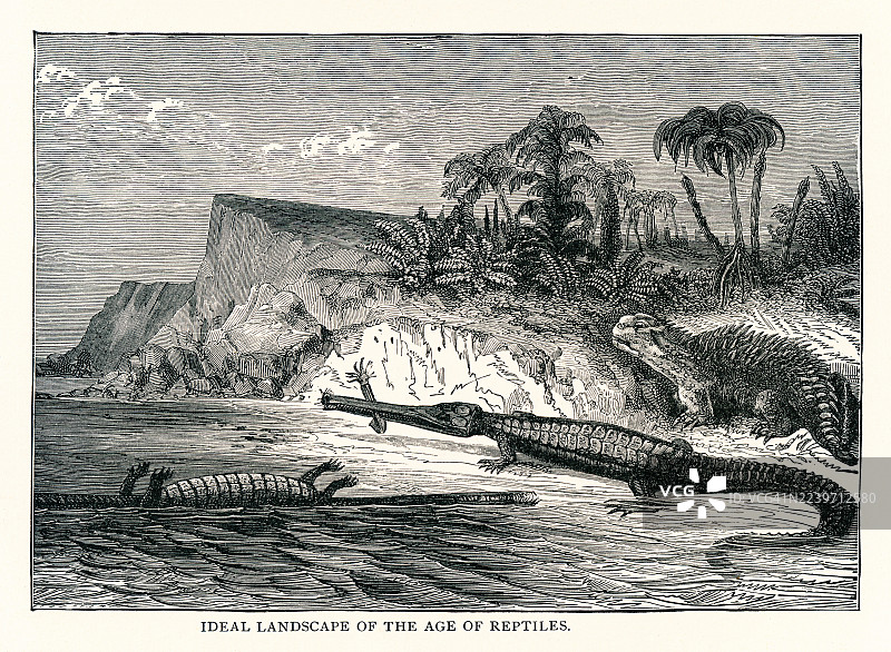 爬行动物时代的理想景观的旧雕版插图。沿海景象展示了原始环境中的爬行动物和茂密的植物。图片素材