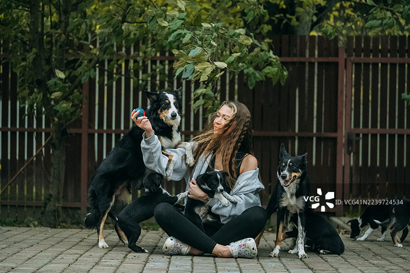年轻女子与边境牧羊犬和幼犬玩耍图片素材