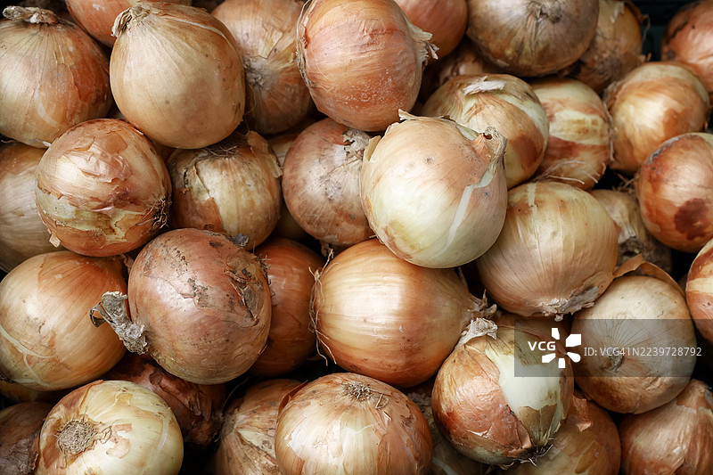 一堆白洋葱图片素材