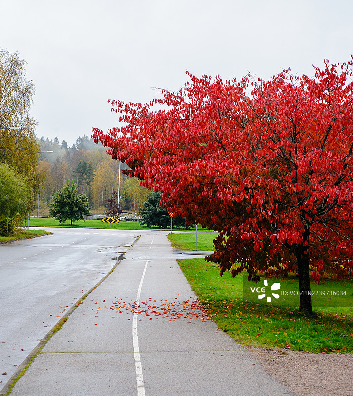 秋天的色彩图片素材