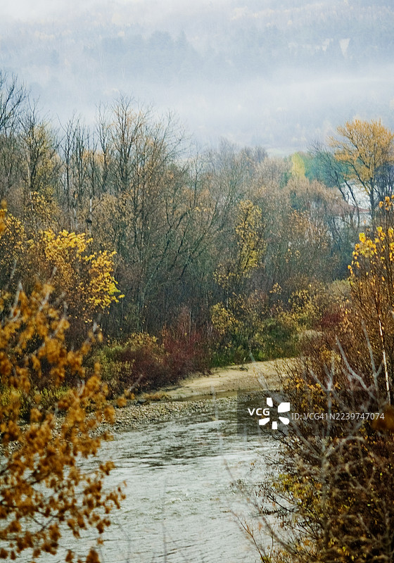 秋季景色，溪流和大量薄雾，黄色的树木构成了画面的框架。图片素材