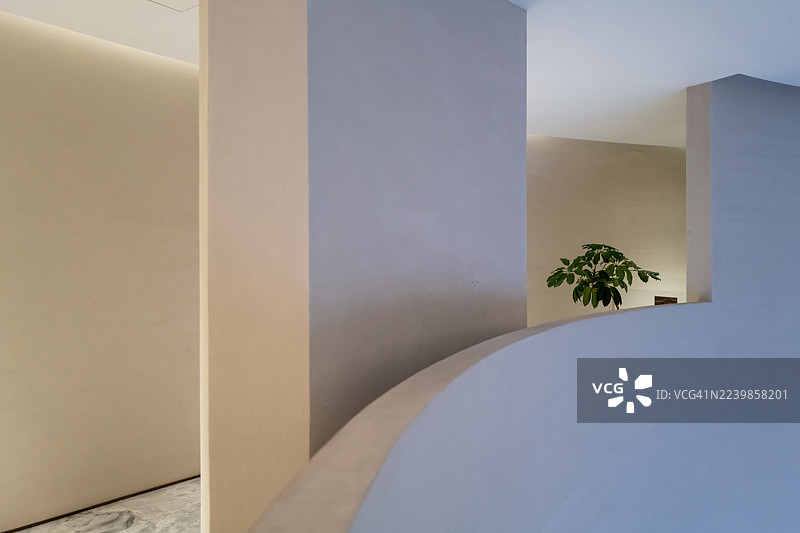 现代装饰室内走廊的三维空间，一盆绿植图片素材