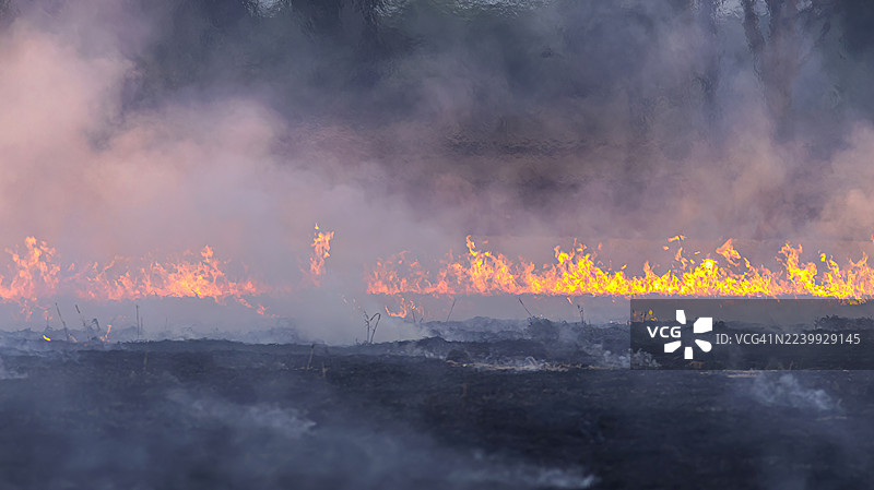 全球变暖，气候危机导致“全球沸腾”，以及灾难性的热浪，气候变化，太阳，燃烧的热浪，酷热的太阳，极端天气，以及“全球沸腾”图片素材