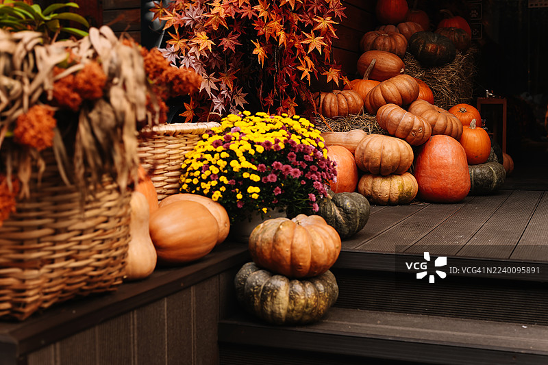 秋季季节性装饰概念，木质背景上有南瓜、秋叶和舒适的纺织品。秋季背景。一堆橙色南瓜放在木地板上。咖啡馆入口的内部装饰着鲜艳成熟的南瓜。图片素材