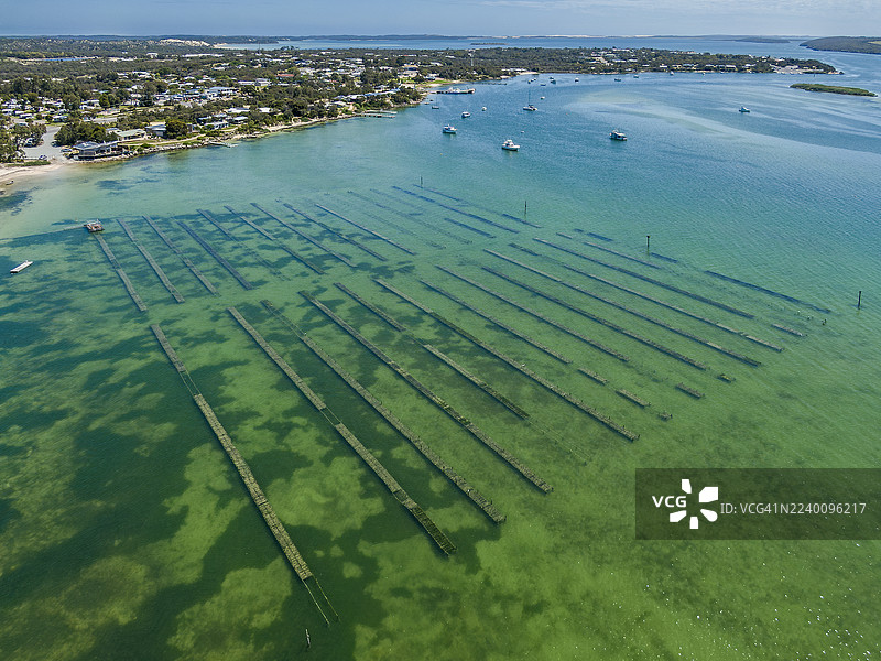 空拍图：牡蛎湾小镇、牡蛎养殖场及清澈原始的海岸水域图片素材