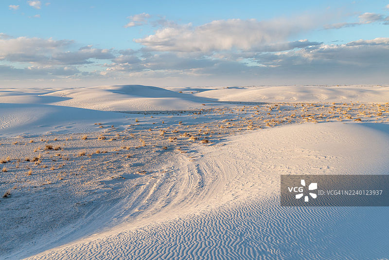 美国新墨西哥州阿拉莫戈多的白沙国家公园低洼地区的沙漠草地图片素材