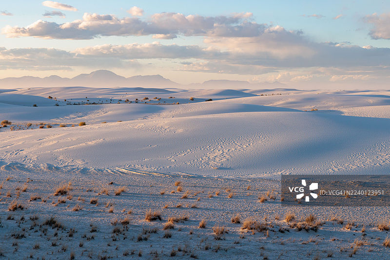 美国新墨西哥州阿拉莫戈多的白沙国家公园内平坦地区的沙漠草类图片素材