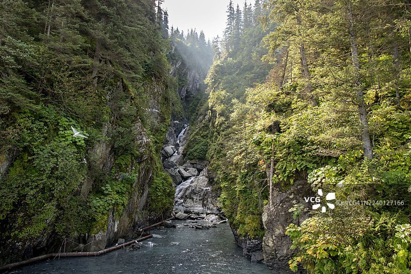 阿拉斯加瓦尔迪兹的所罗门格尔奇溪图片素材